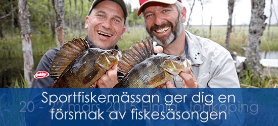 Banner-Sportfiske-Flugfiskenet-550x250pix