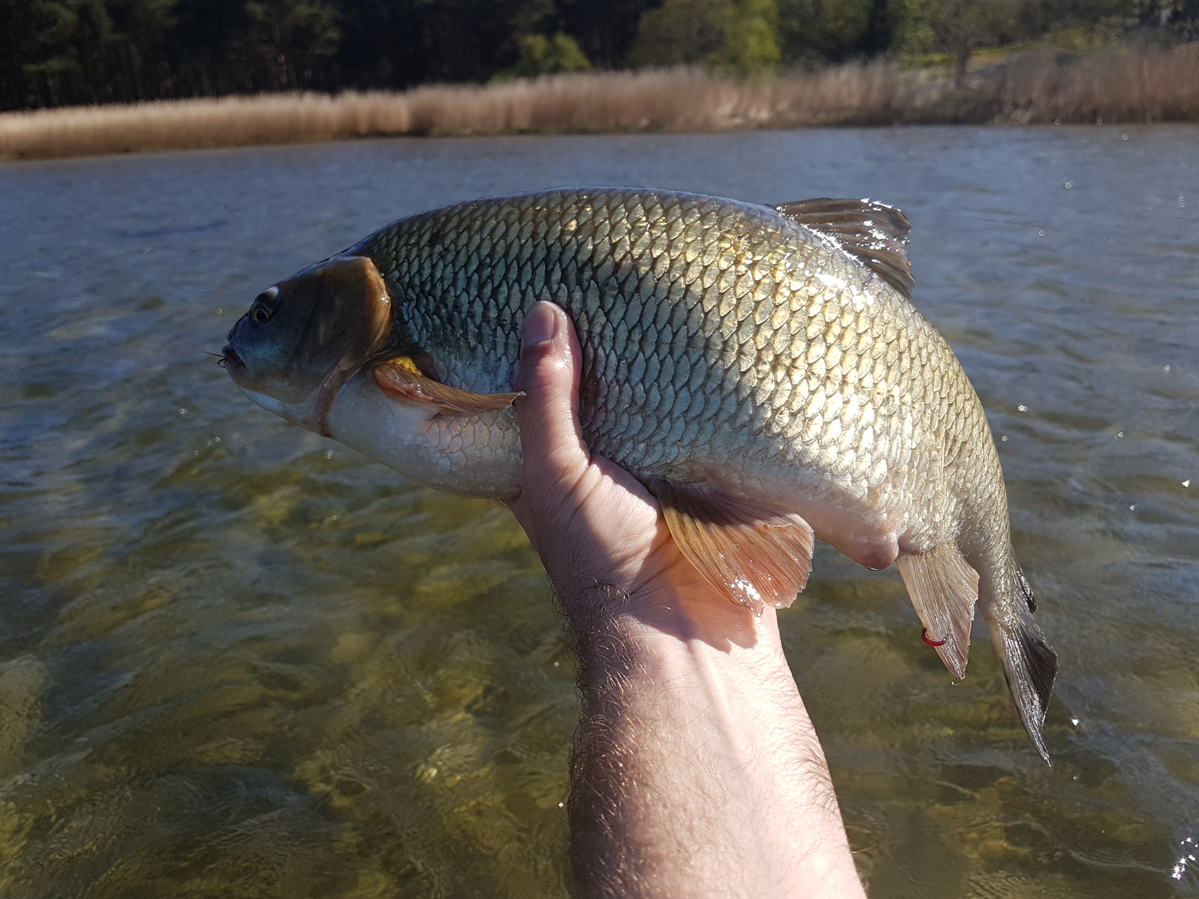 20180509_155435_007_01