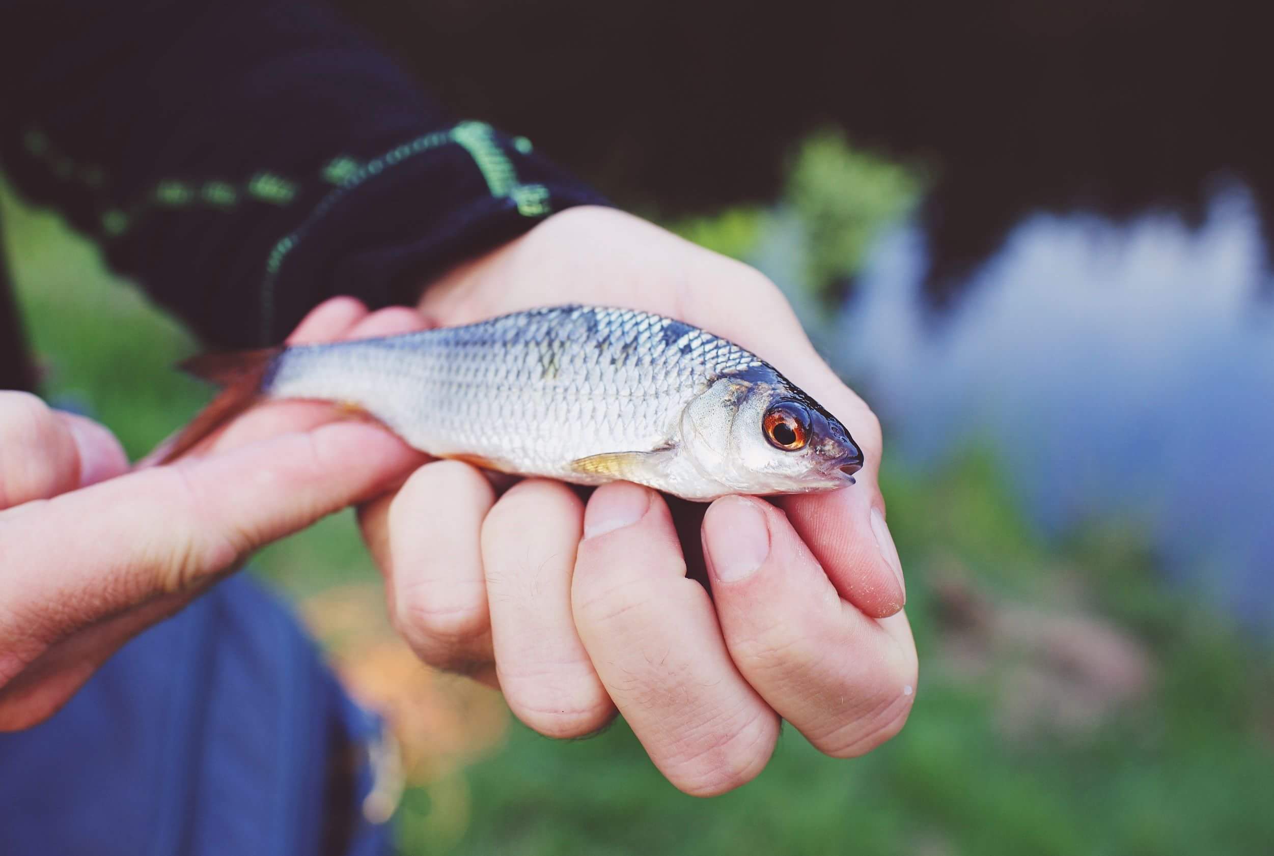 received_10216101249741691