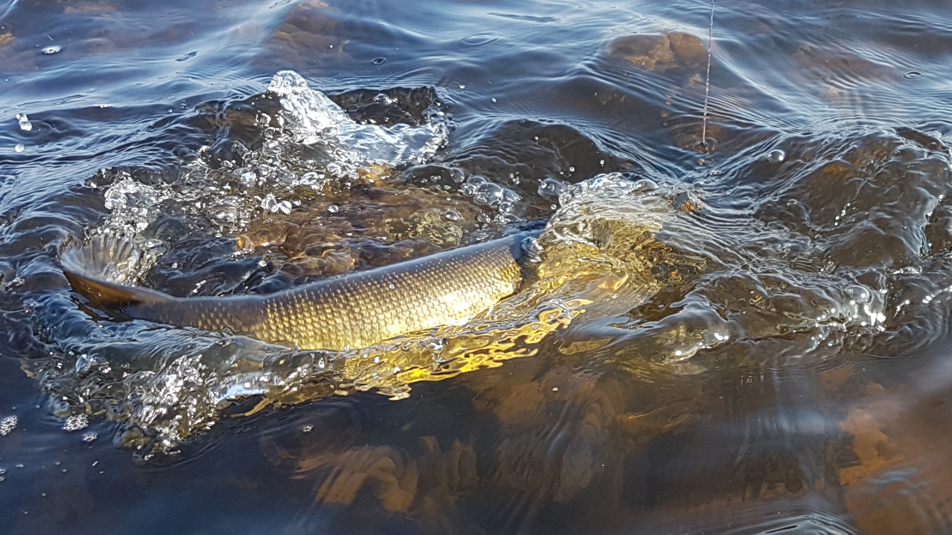 Screenshot_20180409-185444