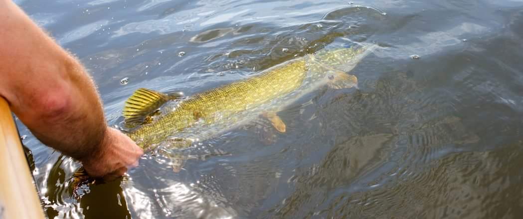 received_10216465258521683