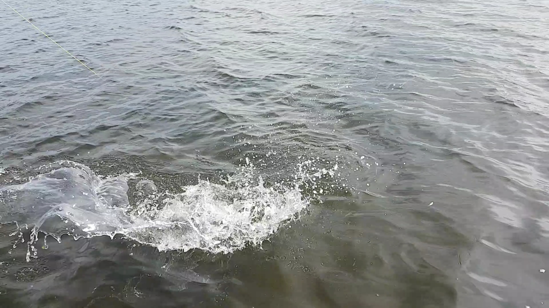 Screenshot_20180706-140747_Video Player