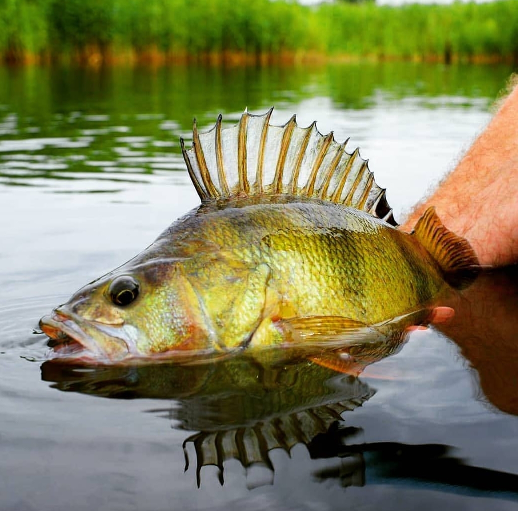 Screenshot_20180708-170425_Instagram