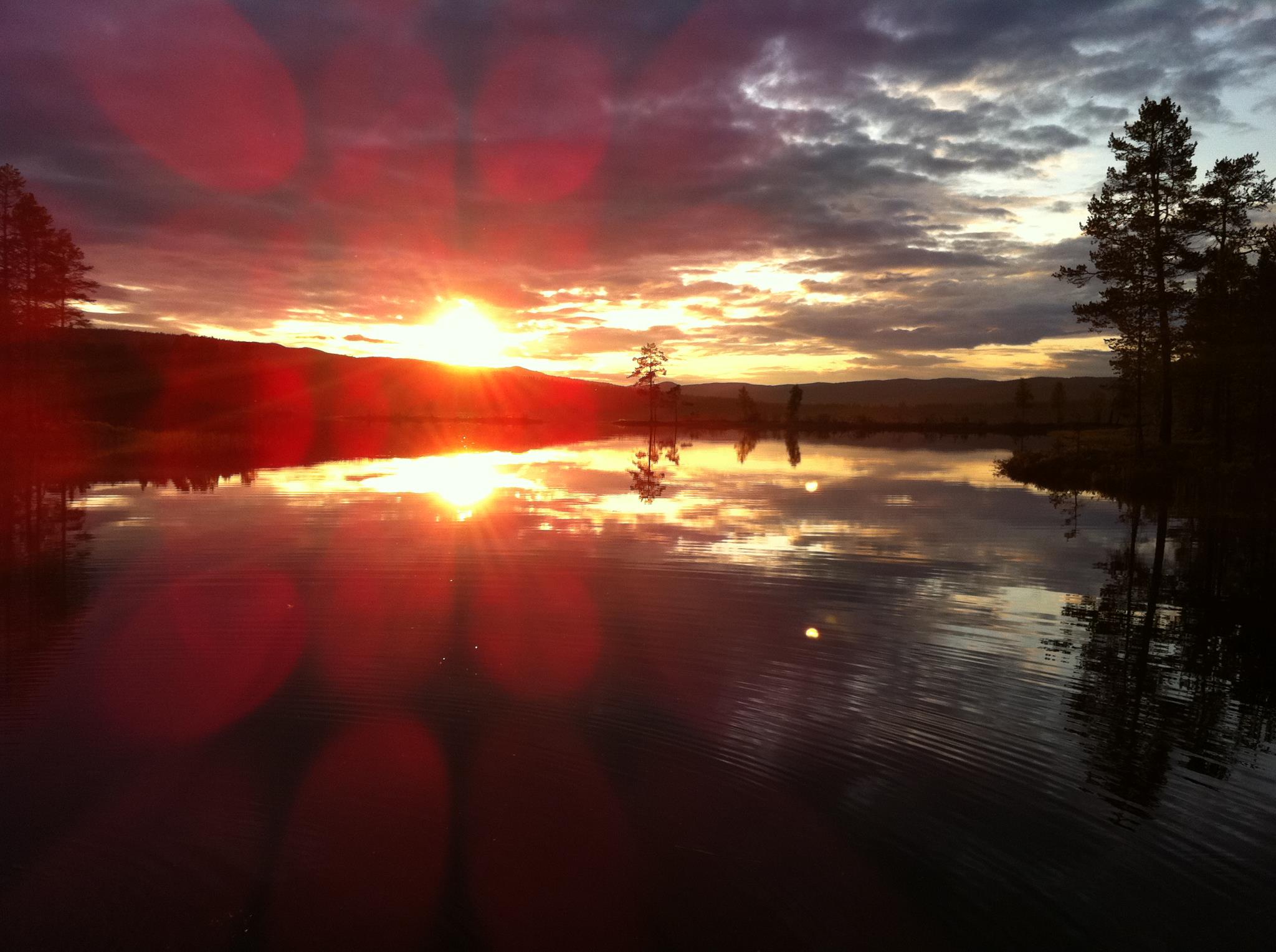 475686_272976429447457_1441382508_o (1)