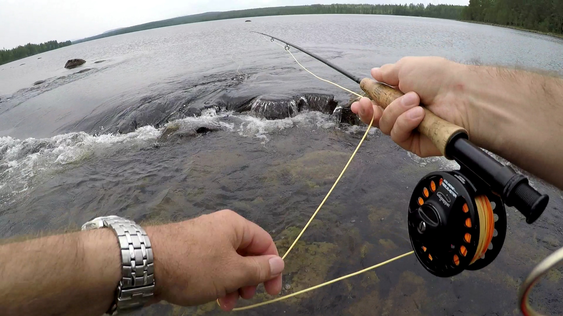 9E0BE8B20A4C7EAA9B4A500493797501