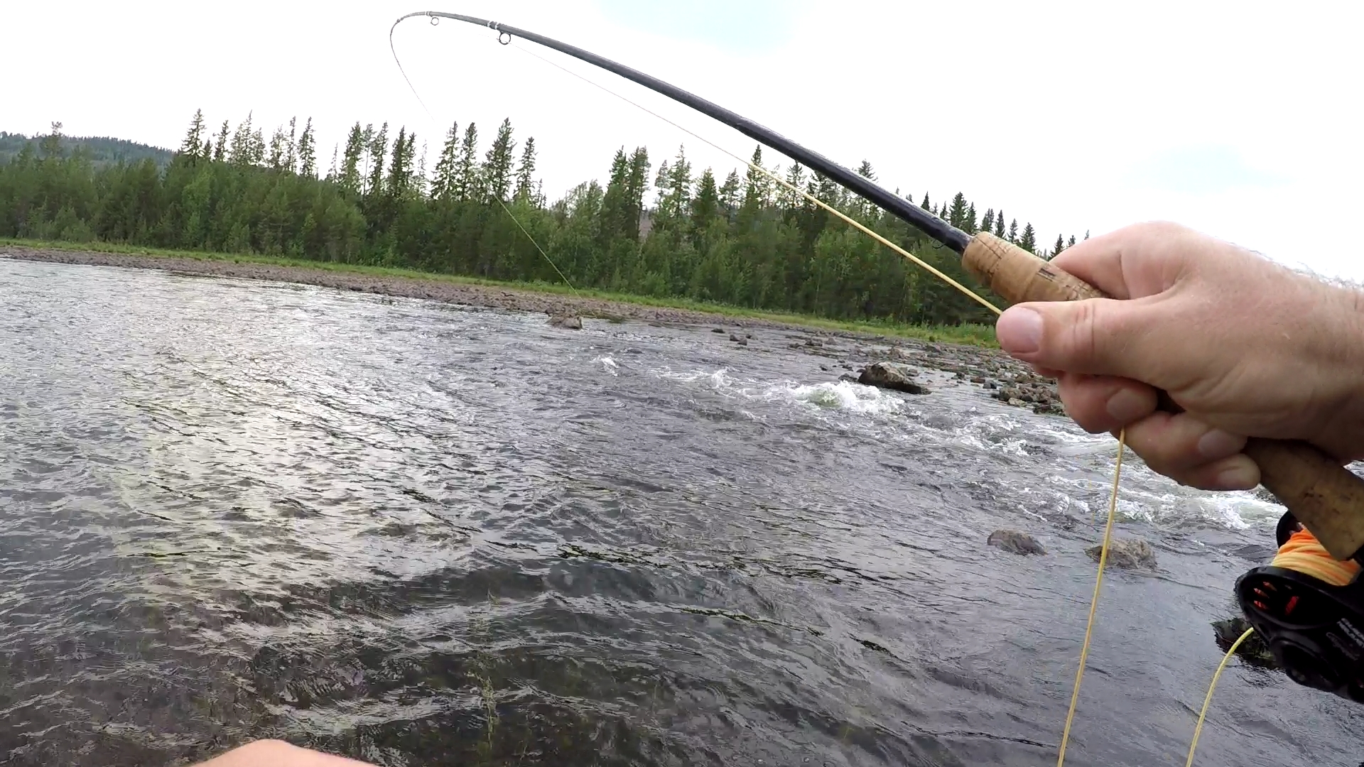 F5840580A8572348DA67CA9D53C345E3