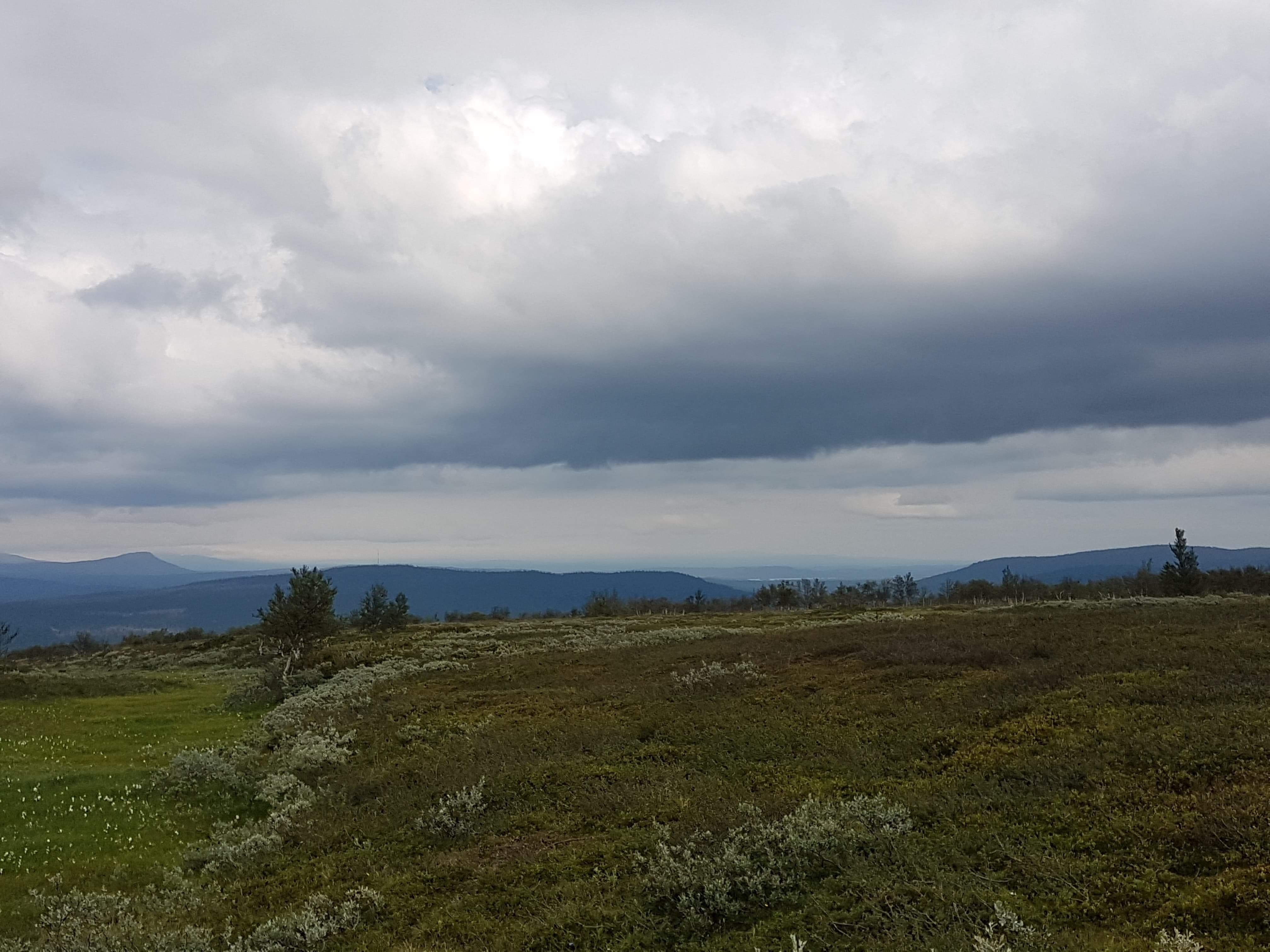 received_2259613050746115