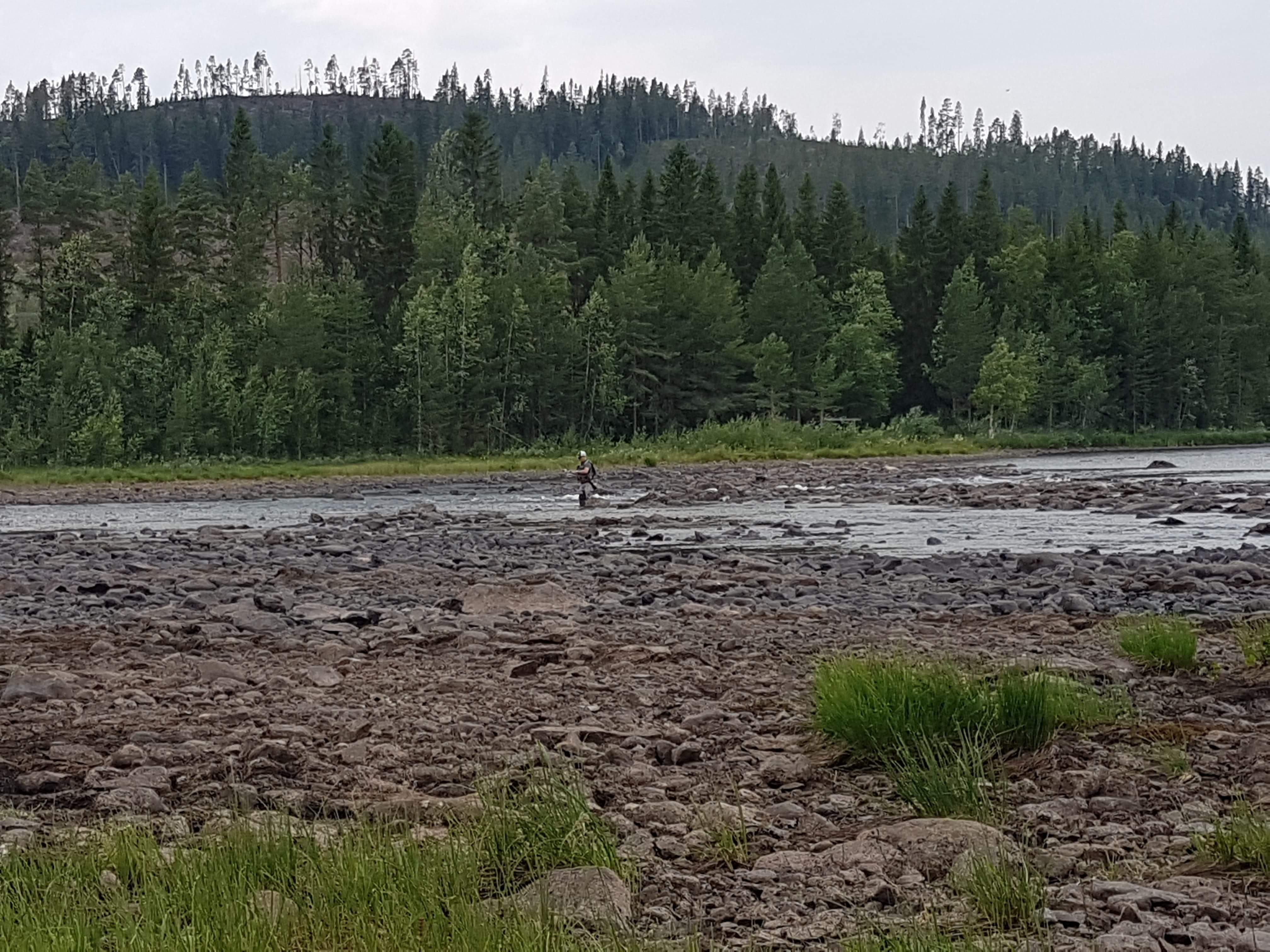 received_2264459476928139