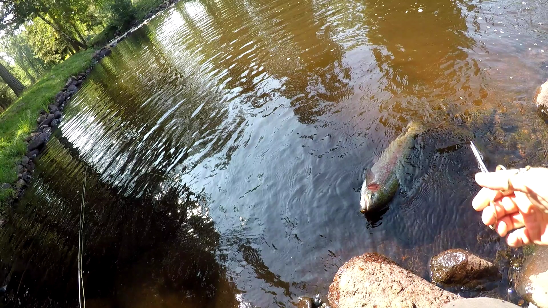 1014DD51EE591E90F83FDBB78E60DE25