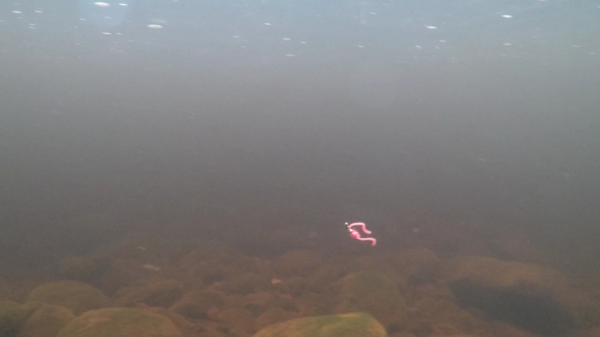 084E6F0179C5D3F88C3EB276097BA116