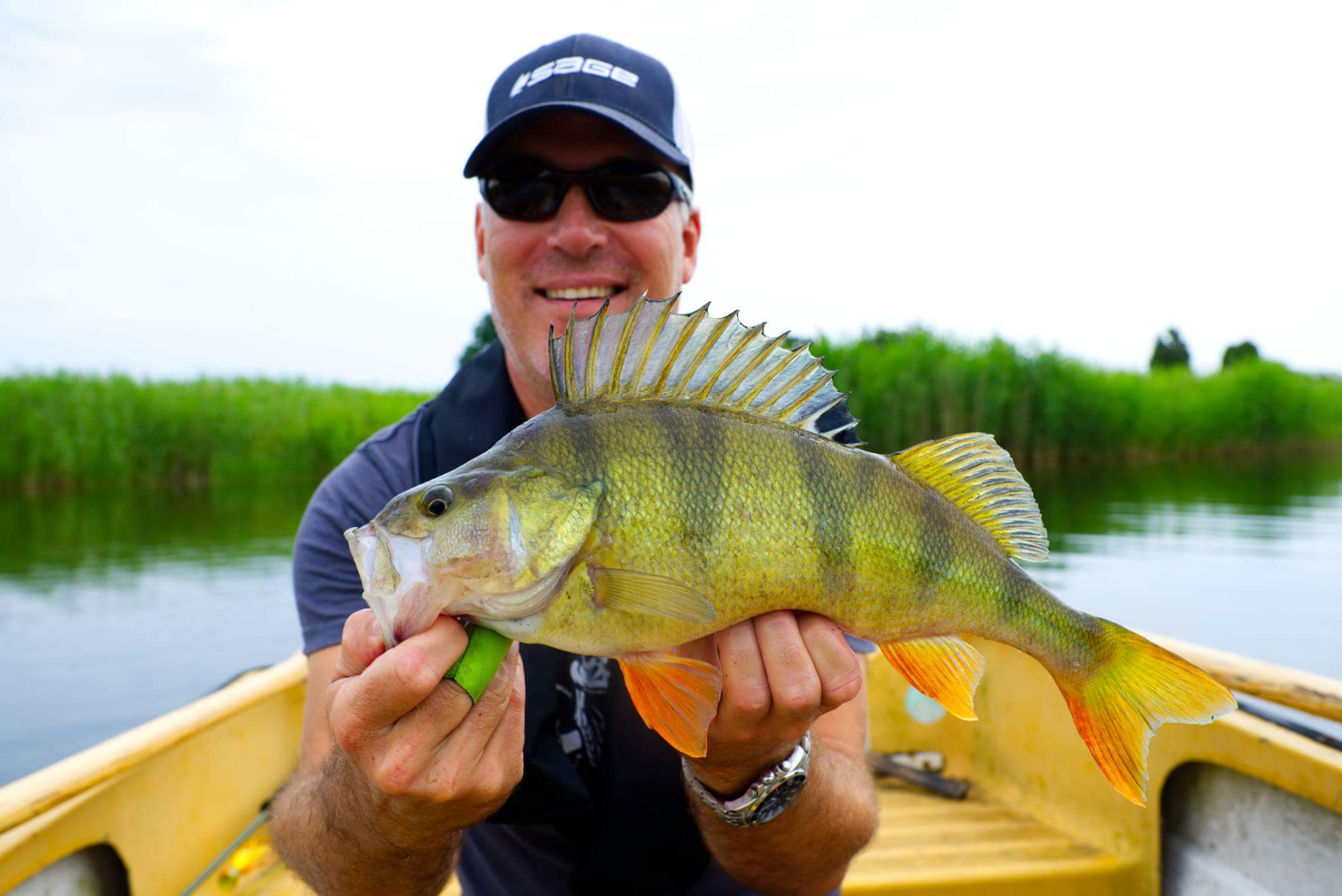 received_10216465363004295