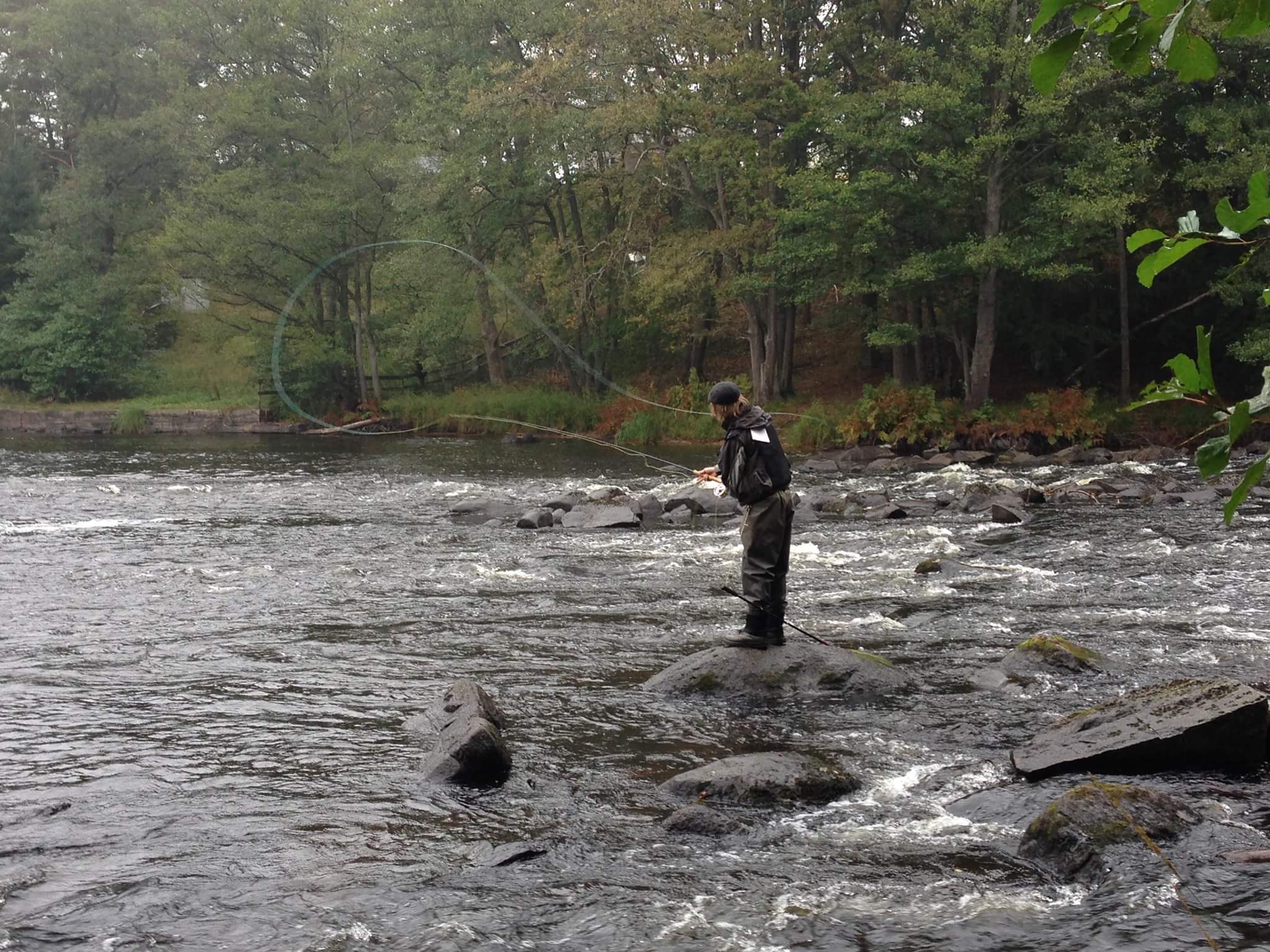 received_1502058163240532