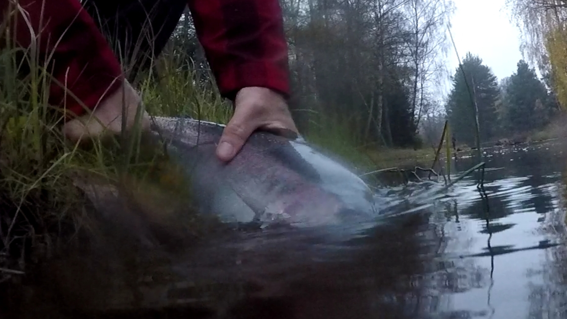 Screenshot_20181105-111812_Gallery