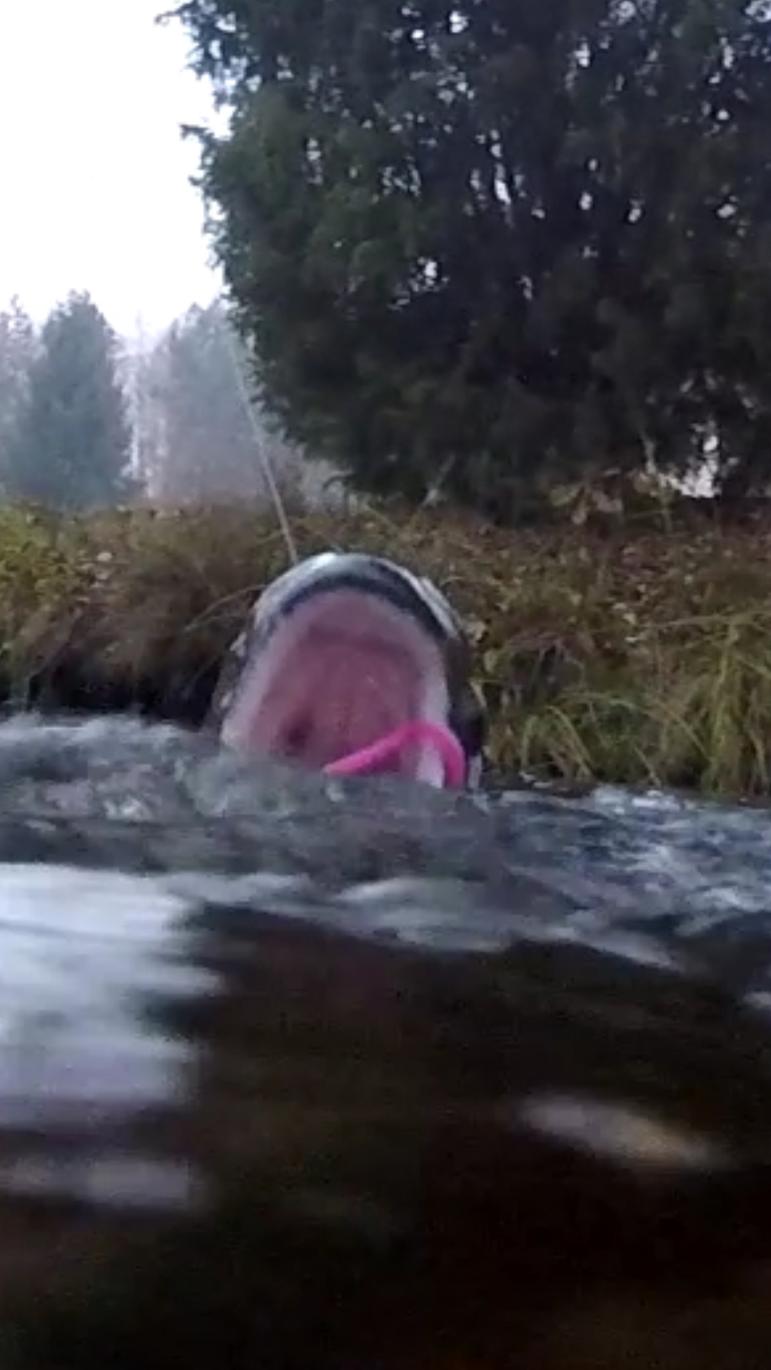 Screenshot_20181107-120222_Gallery