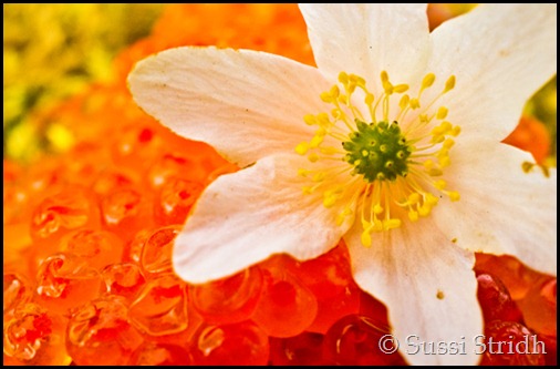 039