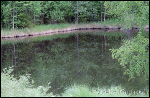 karpdammen
