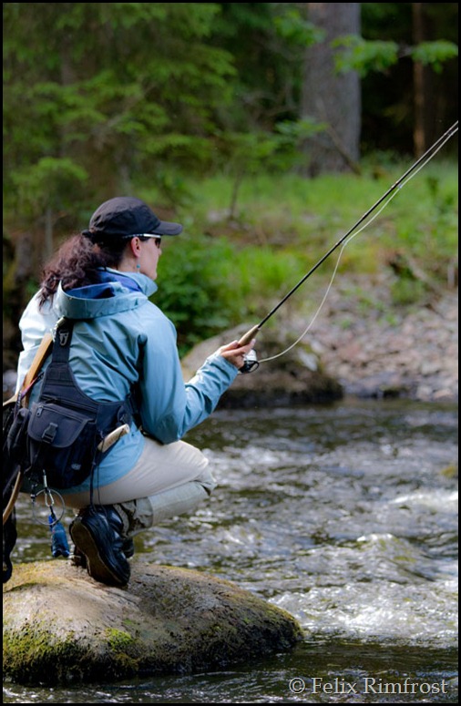 Sussi landat på en sten