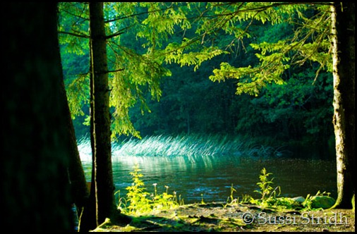 där floden flyter fram