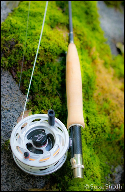 Sameo spö och rulle