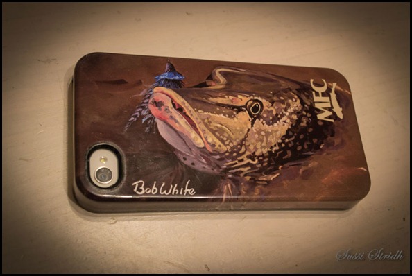 iphoneskal