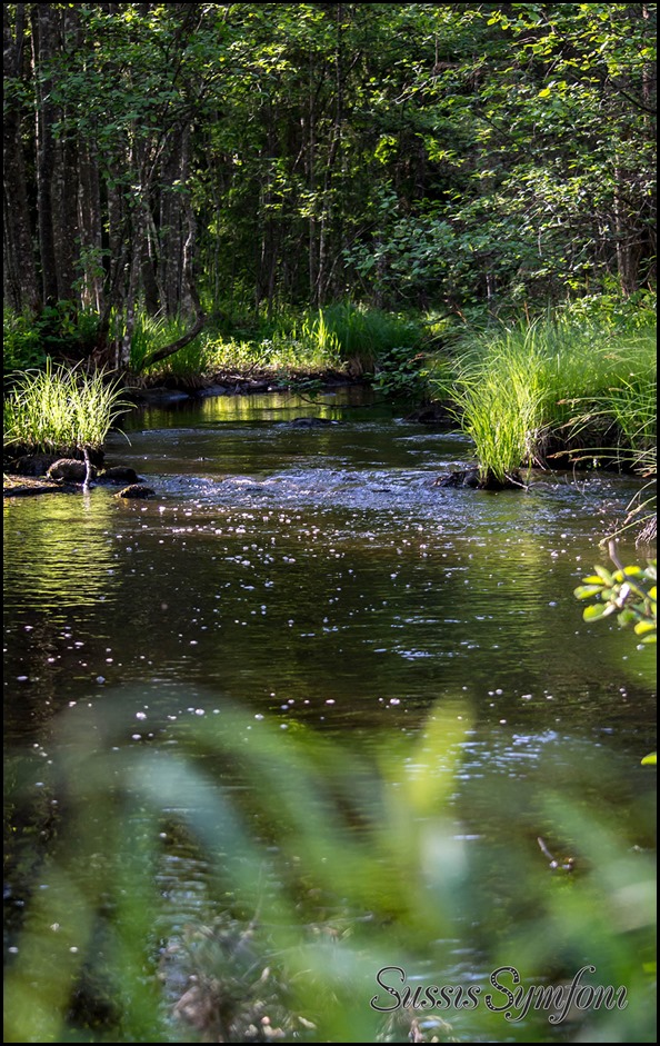 Gisshultaån