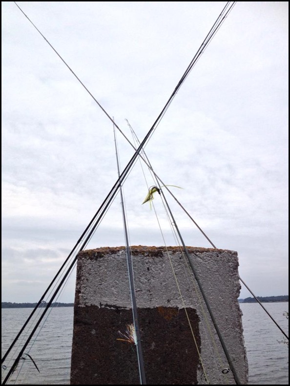 1374382_10151702772237081_1020567572_n