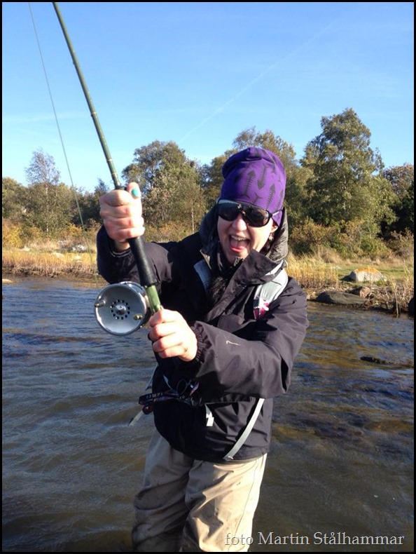 1383975_10151705718352081_260622105_n