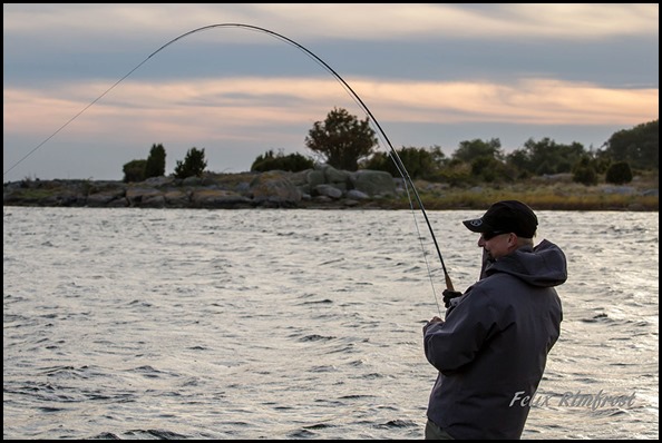 Niclas-Stridh-drillar