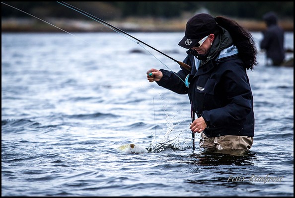 Sussi-Stridh-redo-att-kroka-av-gäddan