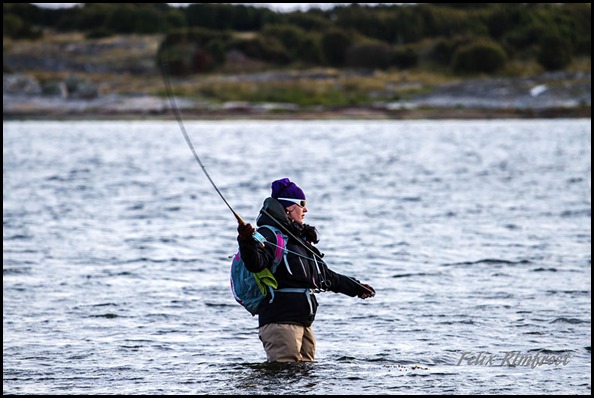 Sussi-Stridh-svingar