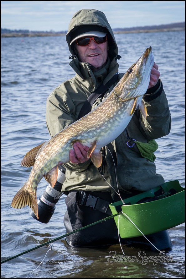 FElix med större gädda