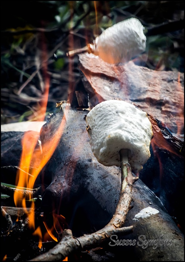 grillade-marshmallows